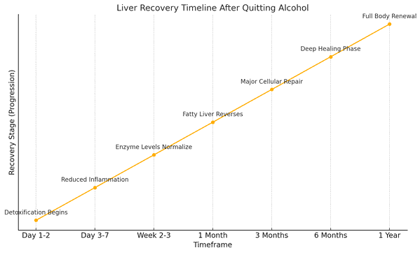 Stages of healing after detoxification