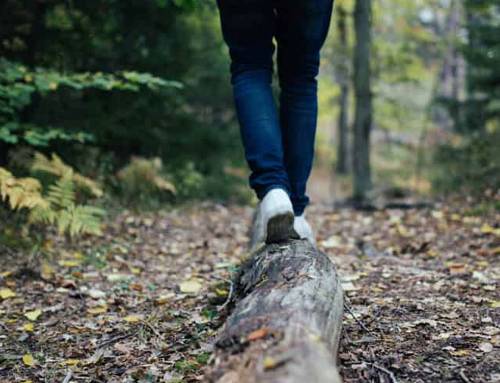 The Devastating Toll: Examining Addiction and Suicide Trends